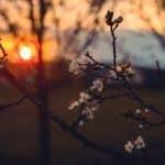 Romantic Sunset Spots: Where to Find the World's Most Beautiful Evenings