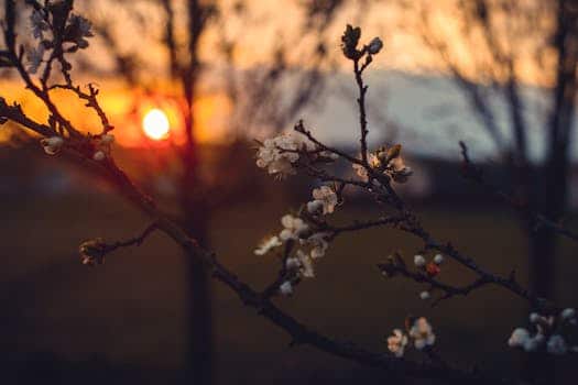 Romantic Sunset Spots: Where to Find the World's Most Beautiful Evenings
