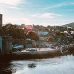 Biophilic Design: Bringing Nature into Urban Homes