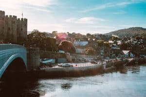 Biophilic Design: Bringing Nature into Urban Homes