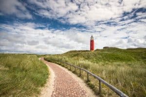 Navigating Multiple Offer Situations: A Guide for Buyers