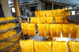 Sustainable Production Practices in the Automotive Industry