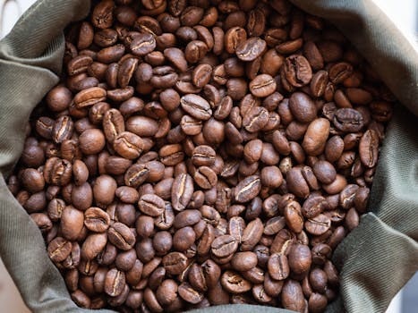 Coffee Cultures Around the World: From Ethiopian Ceremonies to Italian Espresso