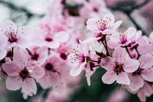 Top Romantic Destinations for Every Season