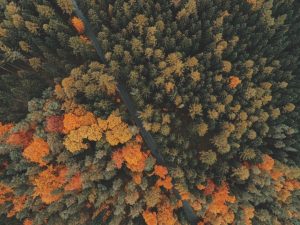 Technology and Outdoor Adventures: Gadgets for Nature Enthusiasts