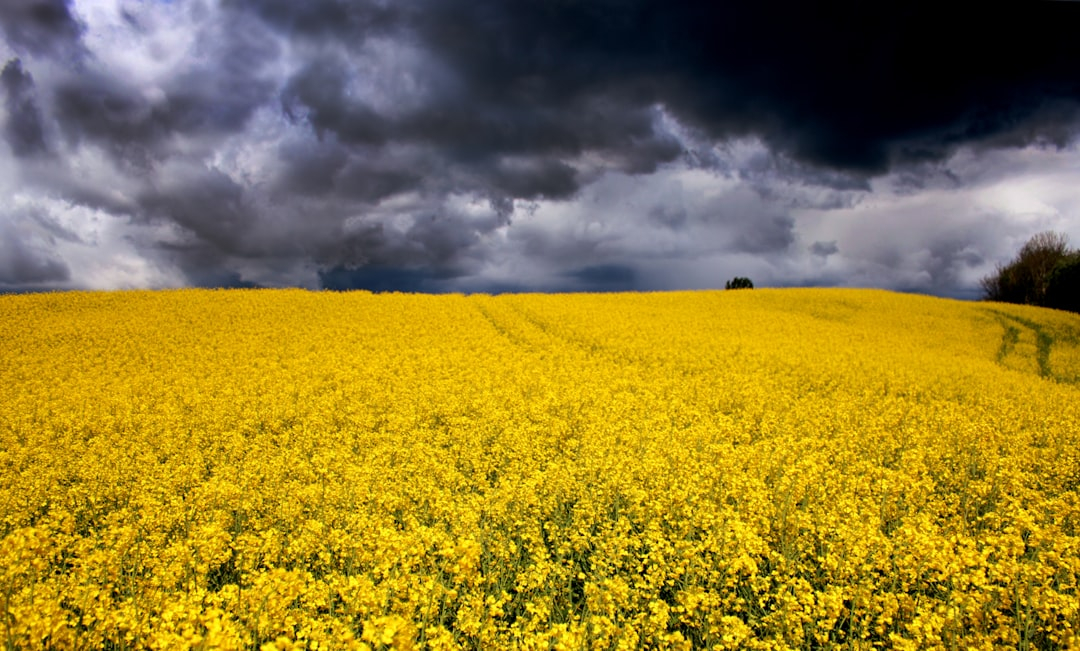 Yellow, Yellow, Yellow: How to Wear 2025’s Hottest Color