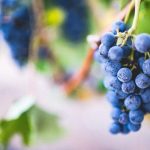 Passion Fruit, Ube, and Pistachio: The Flavor Trinity of 2025