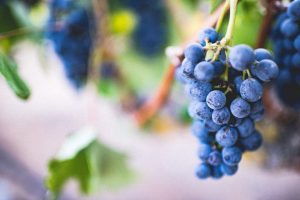 Passion Fruit, Ube, and Pistachio: The Flavor Trinity of 2025
