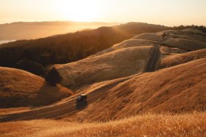 Vineyard Hopping in Hiyu Wine Farm: Natural Wines and Field Blends