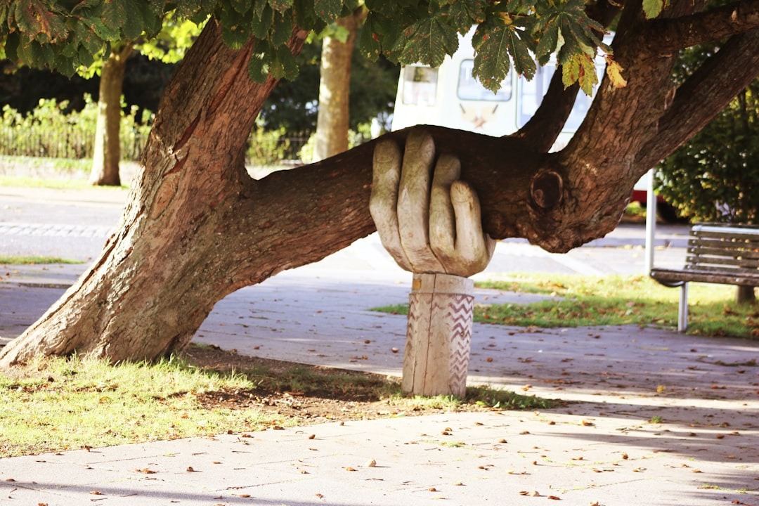 Braking Support Systems: The Safety Feature Saving Lives