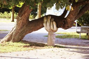 Braking Support Systems: The Safety Feature Saving Lives