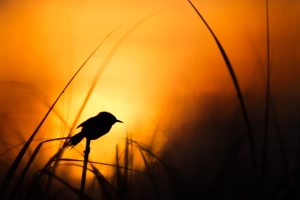 Best Locations for Sunrise Photography Around the World
