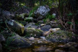 Rock Climbing Destinations for Every Skill Level