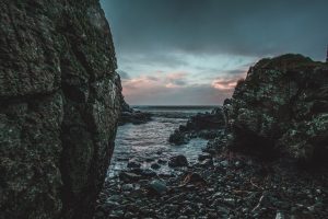 Seaweed in Cuisine: Ocean Flavors Beyond Sushi