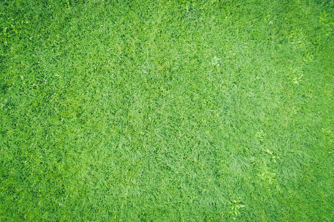 The Green Classroom: Eco-Friendly Approaches to Education