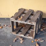 Beyond the Box: The Evolution of Subscription Services