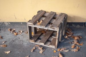 Beyond the Box: The Evolution of Subscription Services