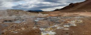 Integrating Environmental Literacy Across the Curriculum