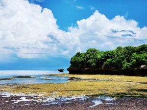 Just-in-Time Inventory: Balancing Efficiency and Availability